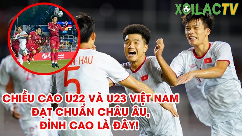 Chiều cao cầu thủ Việt Nam đã được cải thiện nhiều, xếp top Châu Á